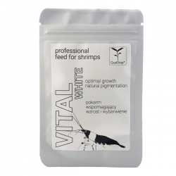 VITAL White – 10 g